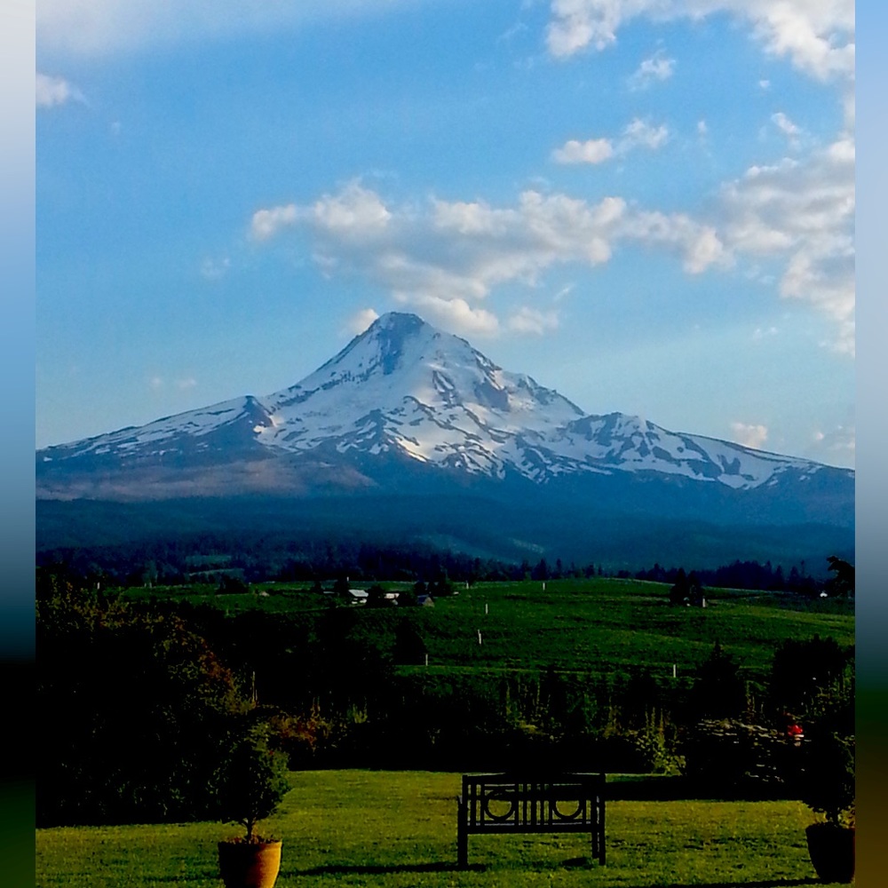 Meet your Posher, HaiChiEm “2 sisters”